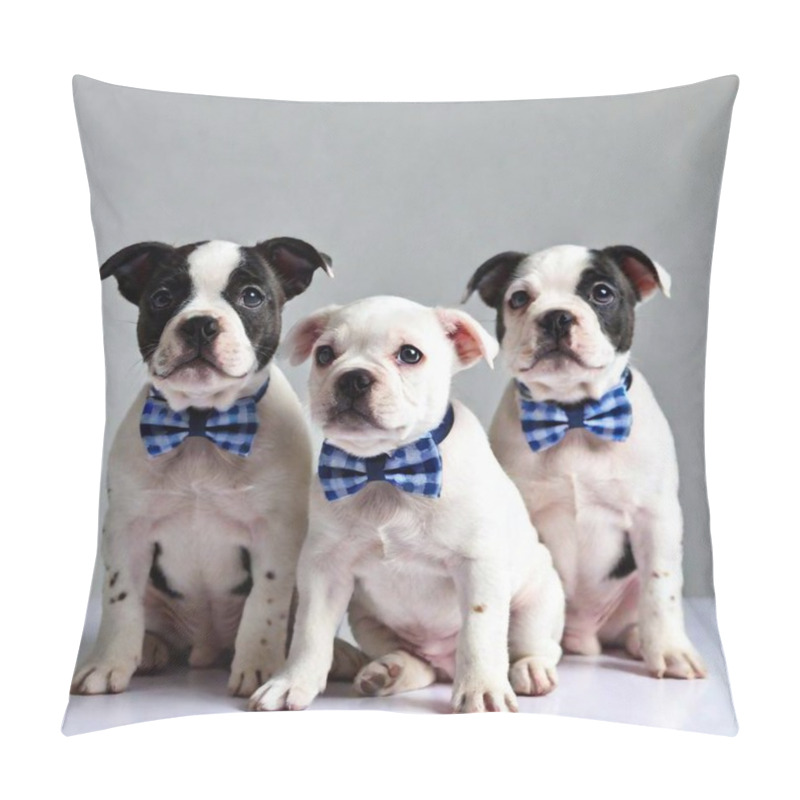 Personality  A High-resolution, Ultrarealistic Photo Depicting Three Adorable Puppies Against A Pure White Background. Each Puppy Is Adorned With Stylish Accessories, Including Blue Sunglasses And Blue Bow Ties With Intricate, Contrasting White Patterns. The Pillow Covers