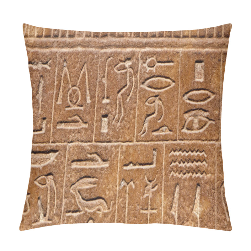 Personality  Egyptian Hieroglyphs Background Pillow Covers