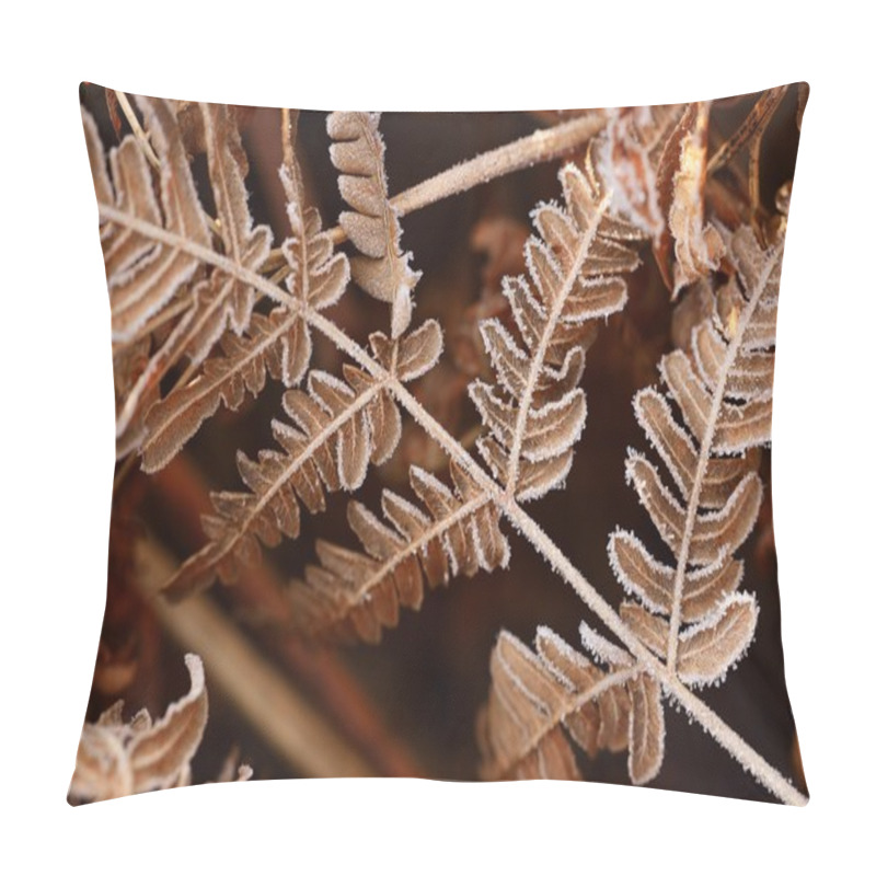 Personality  Autumn Fern Pattern Pillow Covers