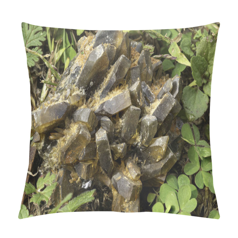 Personality  Striking Cluster Of Golden Barite Crystals Nestled Among Vibrant Green Clover Leaves, Showcasing The Unique Textures And Forms Of This Natural Mineral Pillow Covers