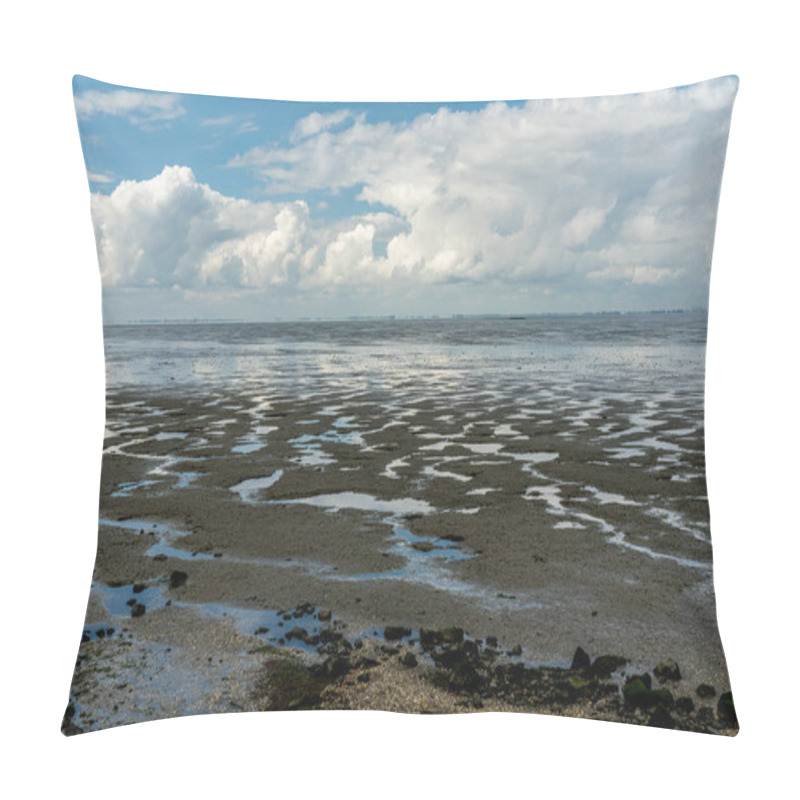 Personality  View On The Wadden Sea Of The North Sea At Low Tide Near Emden, Germany Pillow Covers