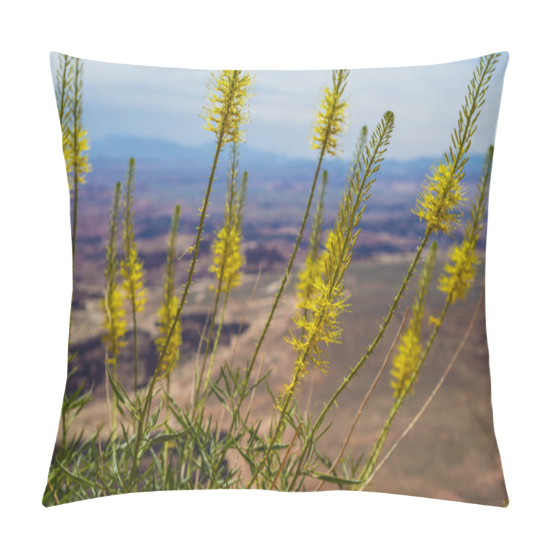 Personality  Grand View Point Overlook Pillow Covers