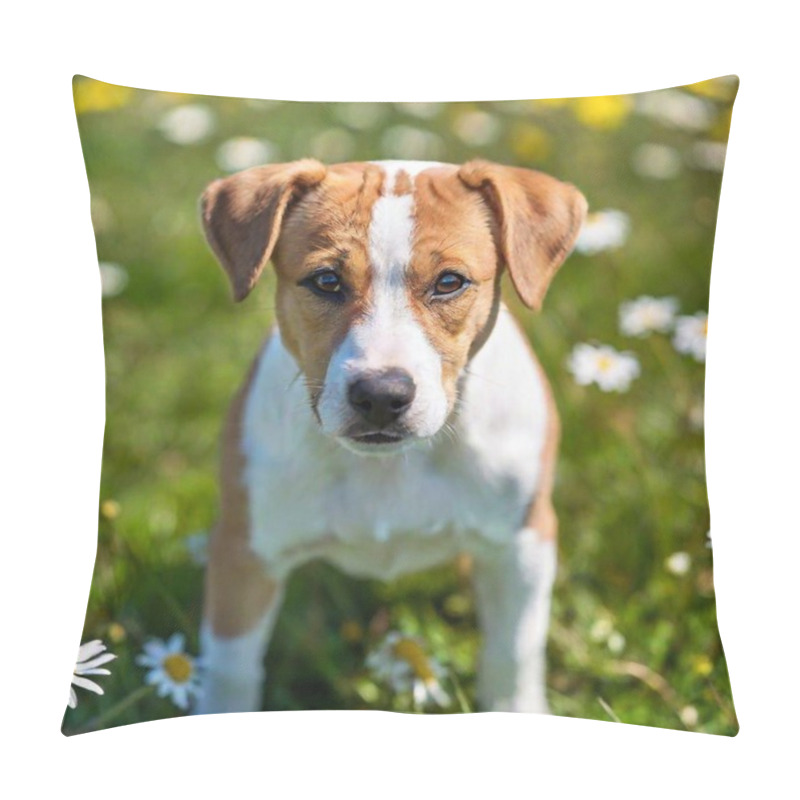 Personality  Create A Realistic Image Of A Puppy Sitting Amidst A Lush Flower Field. The Puppy Should Gaze Curiously Into The Camera, Its Eyes Full Of Life And Joy. Ensure That The Details Of The Flowers And The Puppy's Fur Appear Authentic, Immersing The Viewer Pillow Covers