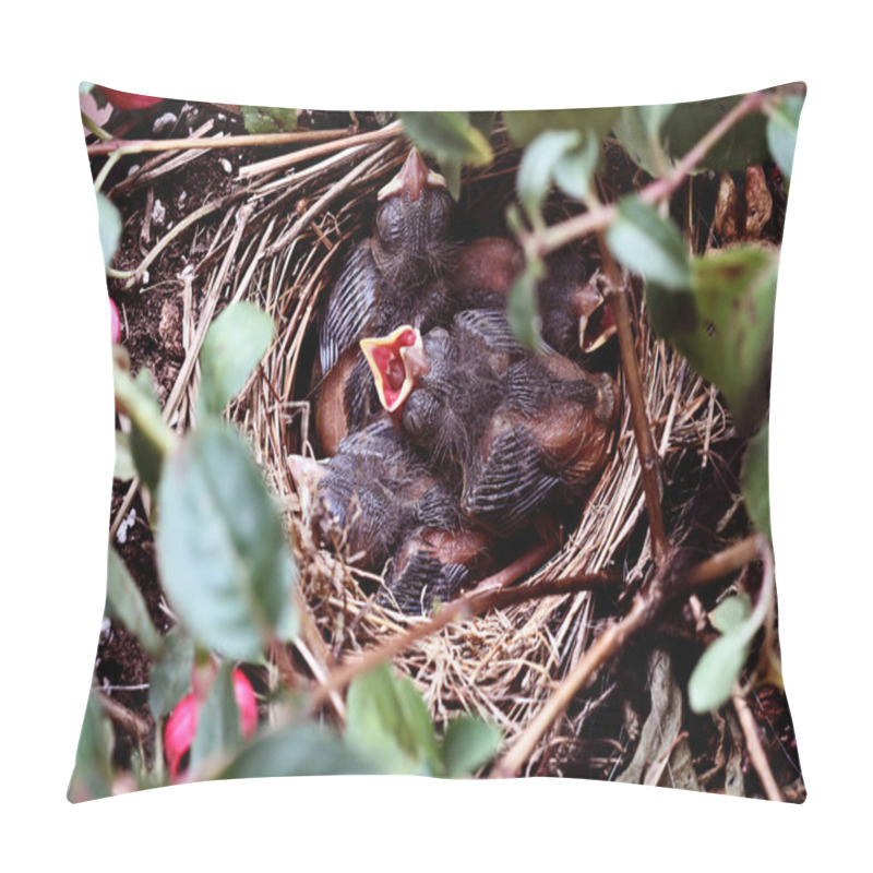 Personality  Baby Birds In A Nest Pillow Covers