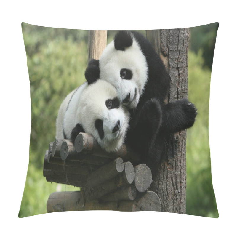 Personality  Panda Pillow Covers