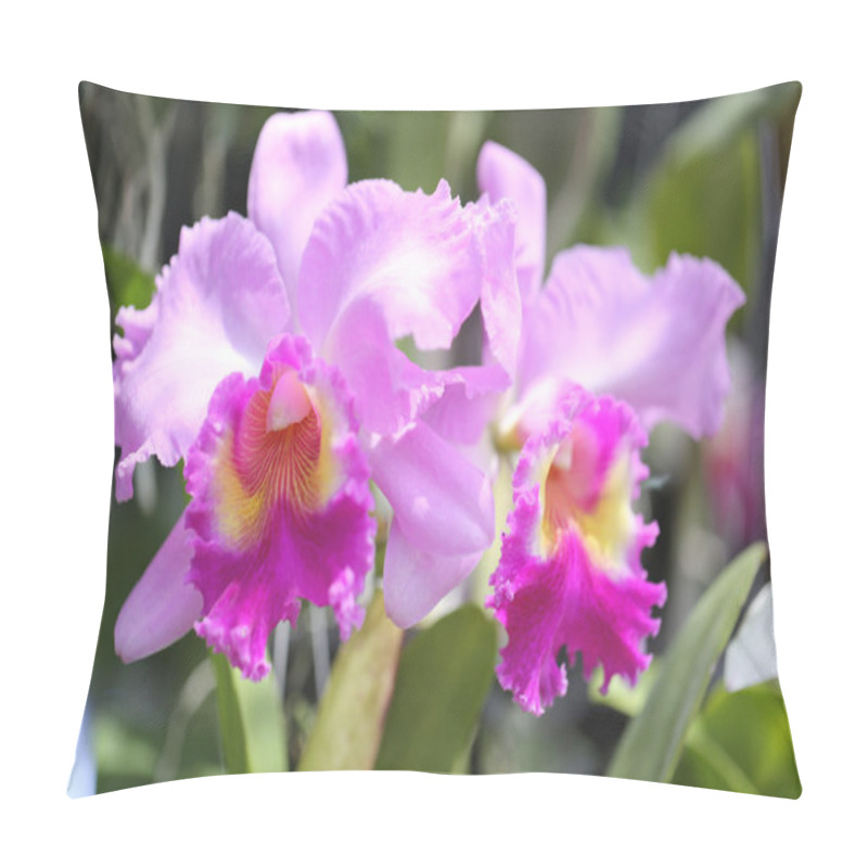 Personality  Pink Of Wild Orchids. Pillow Covers