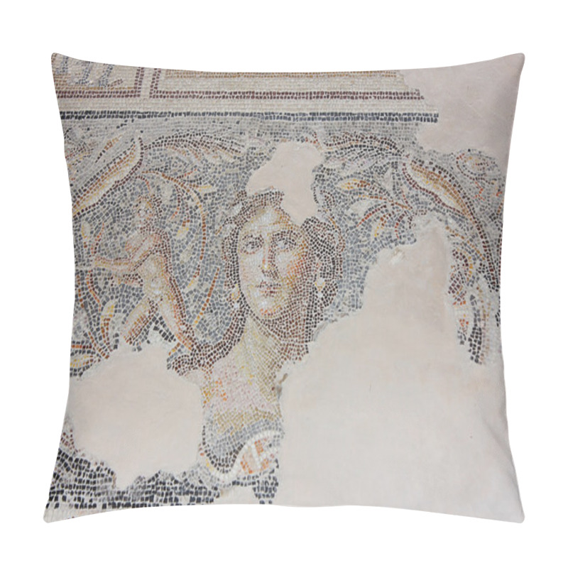 Personality  Antique Mosaic, National Park Zippori, Galilee, Israel Pillow Covers