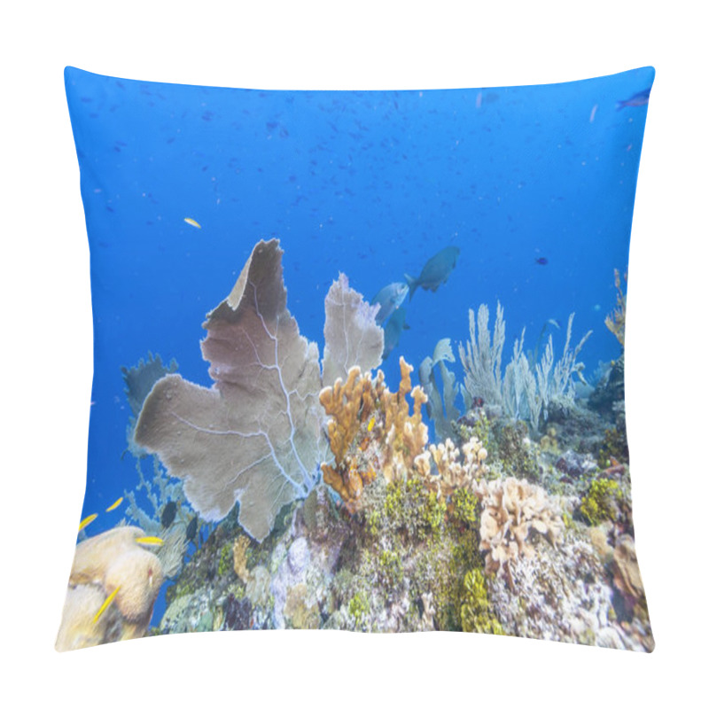 Personality  Coral Reef In Carbiiean Sea Garden Scene Of Marine Enviorment Pillow Covers