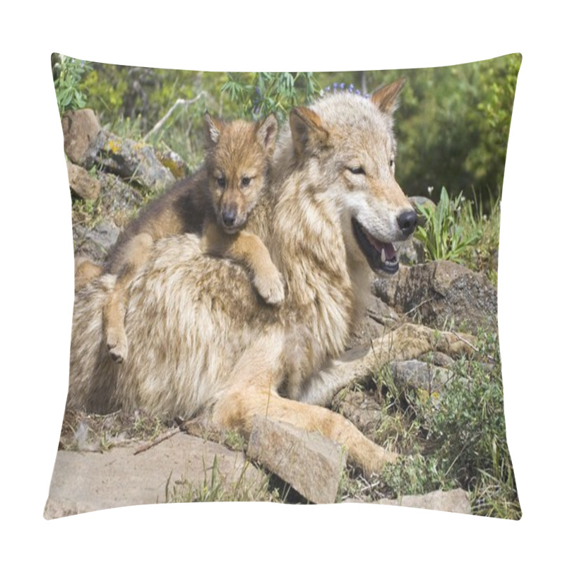 Personality  Wolf Cub And Mother At Den Site Pillow Covers