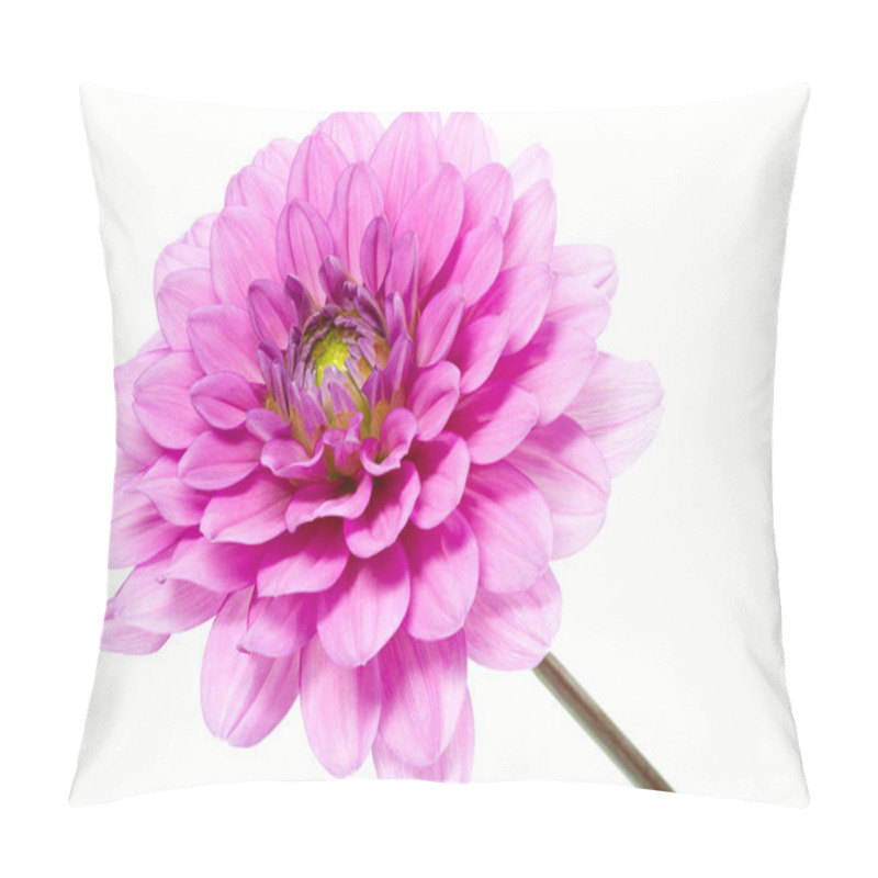 Personality  Blooming Dahlia, Shot With Large Depth Of Field (DOF) Pillow Covers