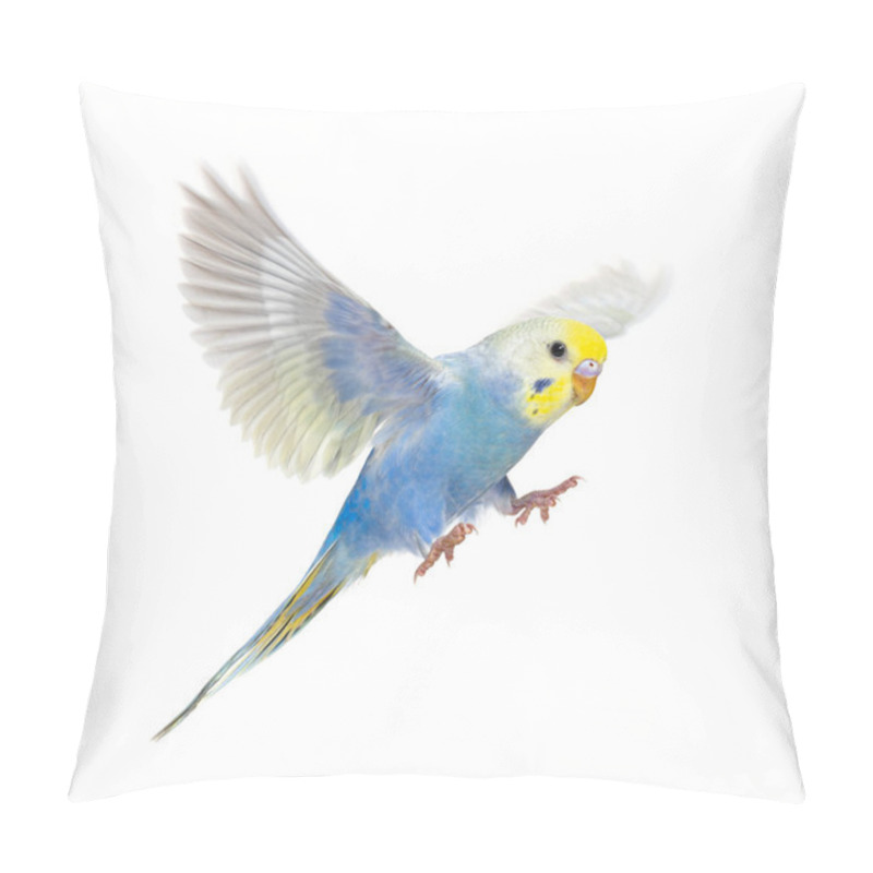 Personality  Side View Of Budgerigar Bird Flying,  Blue Rainbow Colloration,isolated On White Pillow Covers