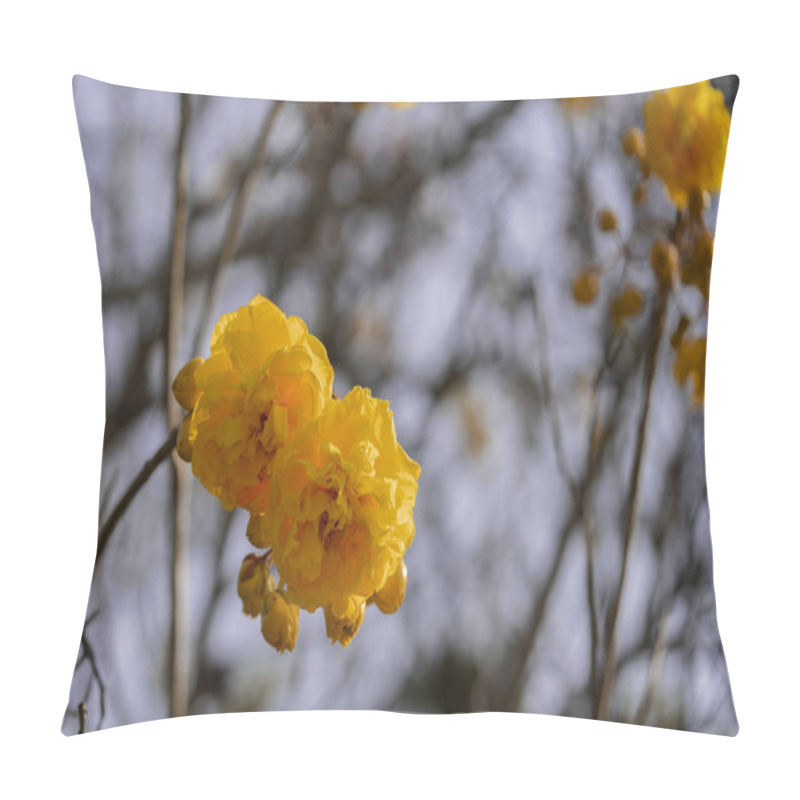 Personality  Yellow Flowers On The Tree In Blossom Pillow Covers