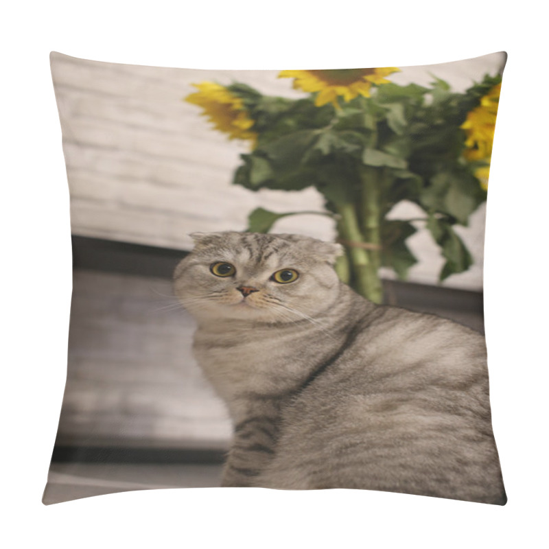 Personality  Cute Scottish Fold Cat Sitting Next To The Sunflowers Pillow Covers