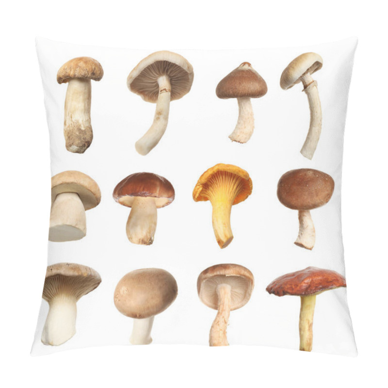 Personality  Set Of Different Fresh Mushrooms On White Background Pillow Covers