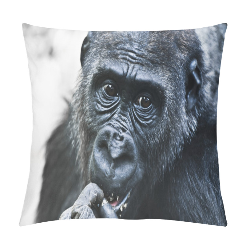 Personality  Gorilla Portrait Pillow Covers