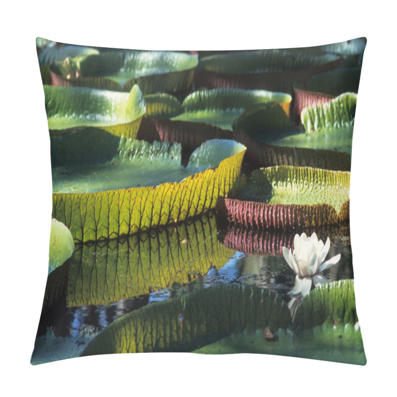 Personality  Giant Amazon Water Lily Pillow Covers