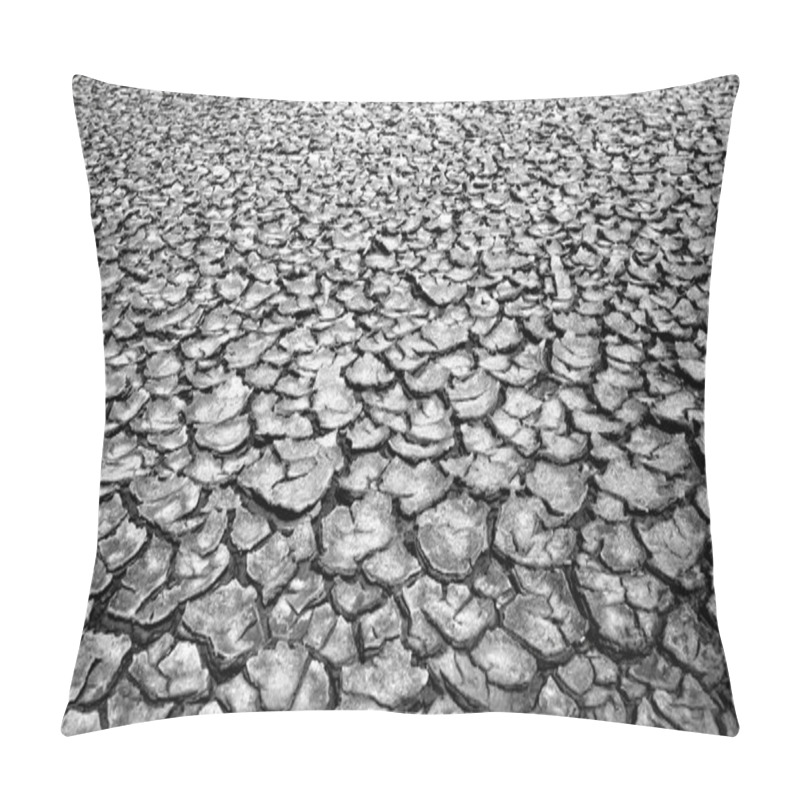 Personality  Drought Land, Warming Global Pillow Covers