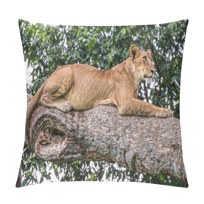 Personality  Lioness Lying On Tree Pillow Covers