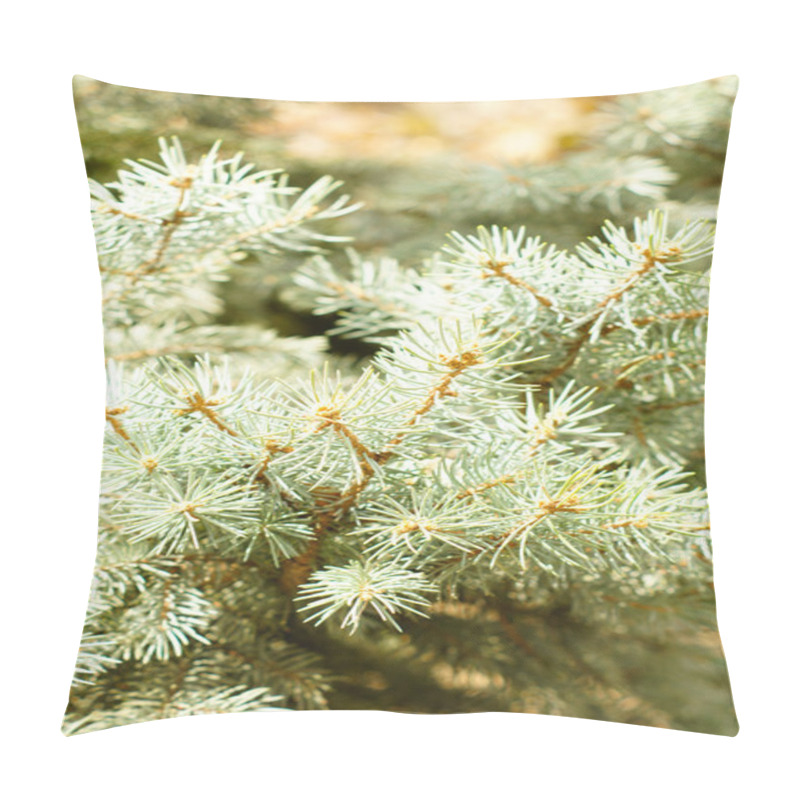 Personality  European Larch (Larix Decidua) Pillow Covers