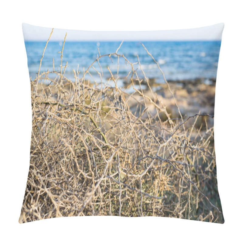 Personality  Dry Bush In Ayia Napa Coast In Cyprus Pillow Covers