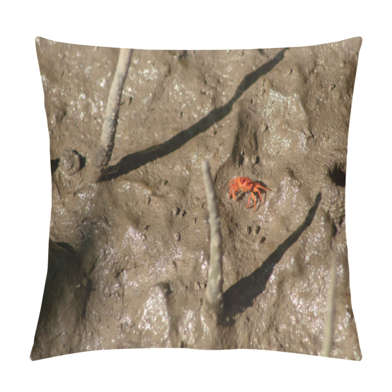 Personality  Close Up Of Orange Fiddler Crab Or Ghost Crab Walking On Mudflats In Mangrove Forest During Low Tide, Tanjung Piai National Park, Malaysia Pillow Covers