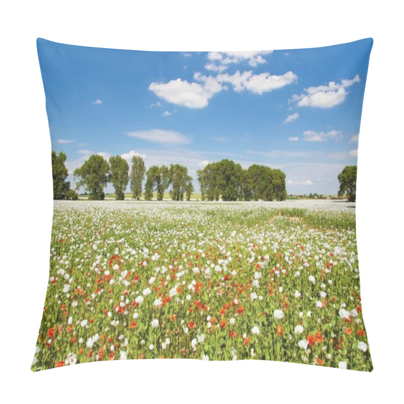 Personality  Flowering Opium Poppy Field In Latin Papaver Somniferum, Poppy Field Weeded With Red Poppies, White Colored Poppy Is Grown In Czech Republic For Food Industry Pillow Covers