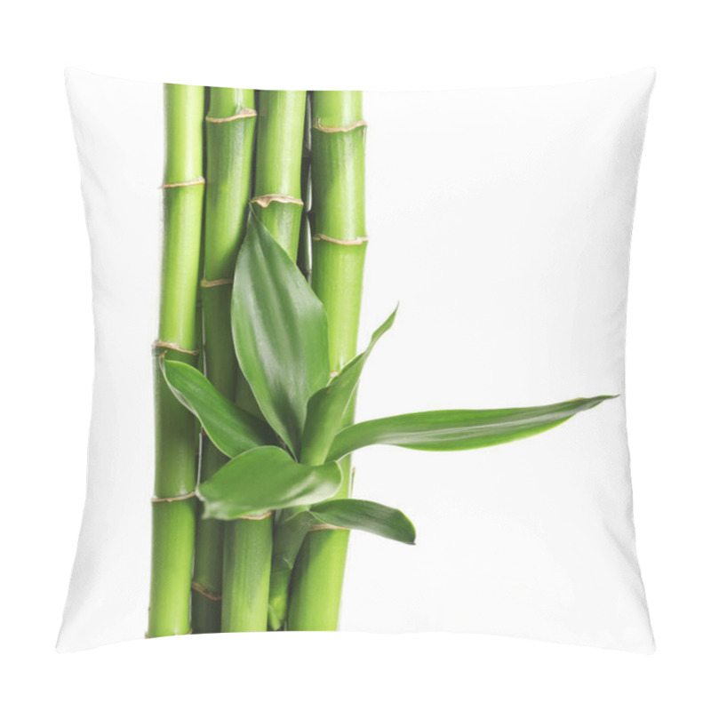 Personality  Green Bamboo Stems With Leaves On White Background Pillow Covers