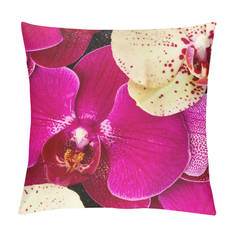 Personality  Beautiful Orchid Flowers Pillow Covers