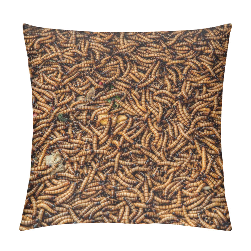 Personality  Worms In Animal Market Pillow Covers