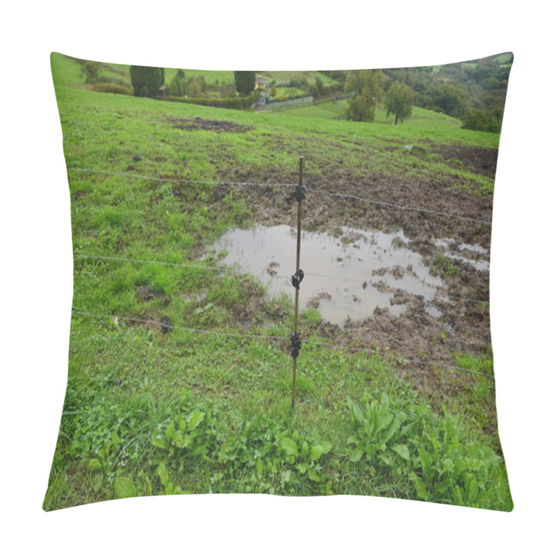 Personality  Electric Fence Protecting A Lush Green Meadow With A Muddy Puddle, Suggesting Recent Rainfall Or Poor Drainage Pillow Covers