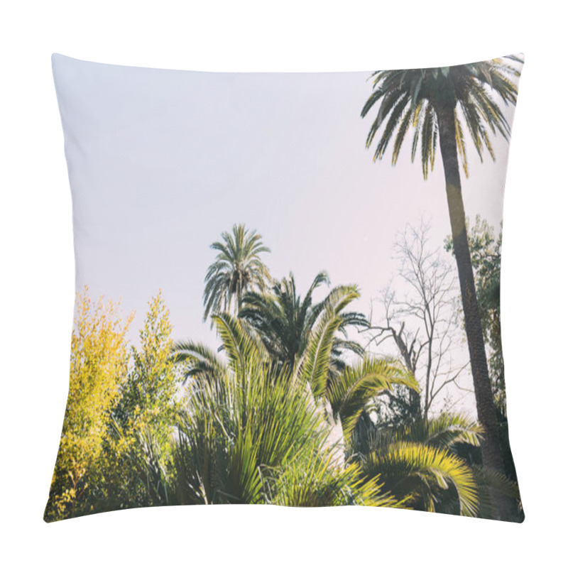 Personality  Trees And Bushes On Blue Sky Background In Parc De La Ciutadella, Barcelona, Spain Pillow Covers