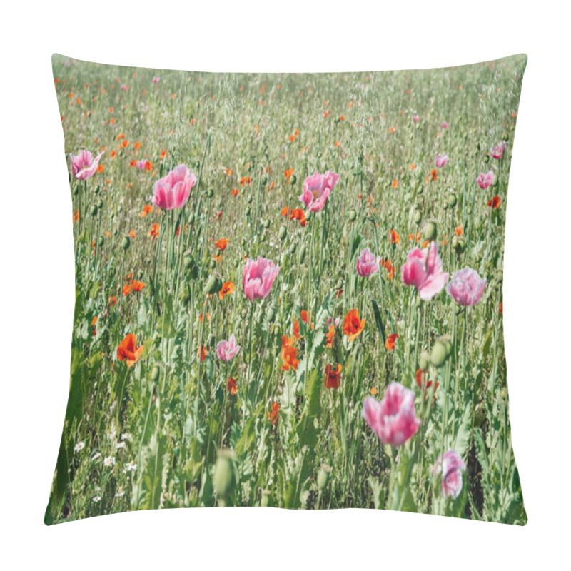 Personality  A Close-up View Of Pink Poppy Buds Gently Swaying In The Wind In The Foreground. Pillow Covers