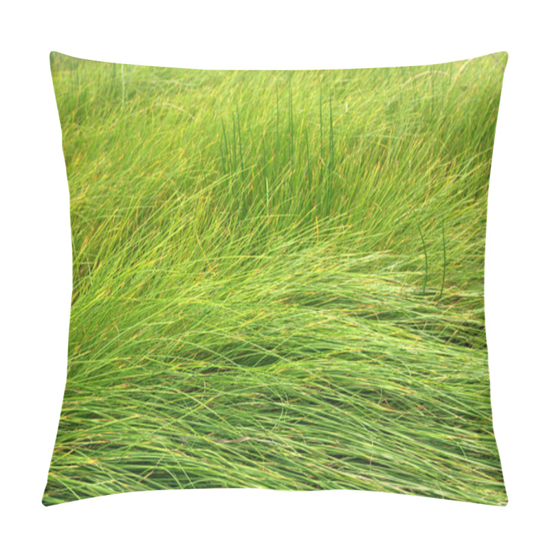 Personality  Grass Background Pillow Covers