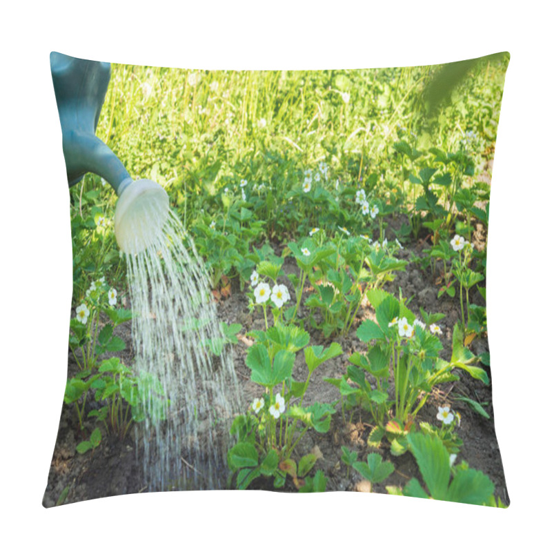 Personality  Water From A Watering Can Pours Over Strawberry Bushes. Pillow Covers