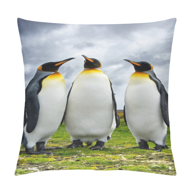 Personality  Three King Penguins Pillow Covers