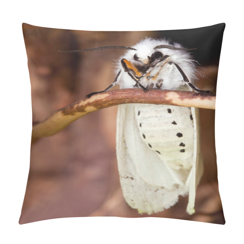 Personality  White Night Butterfly Sit On The Branc Pillow Covers