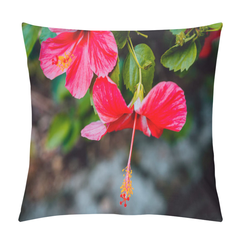 Personality  Pink Red Tropical Flower With Yellow Pistil Against Dark Background From Mahe Park - Seychelles Pillow Covers