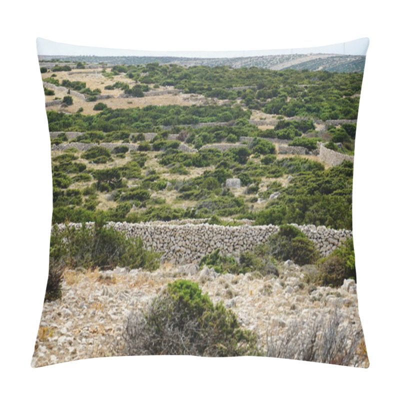 Personality  Agricultural Land With Dry Stone Walls And Mediterranean Shrubs And Herbs On The Croatian Island Of Pag Pillow Covers