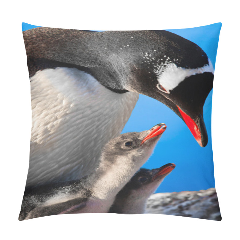 Personality  Penguin Mother And Her Two Children In Antarctica Pillow Covers