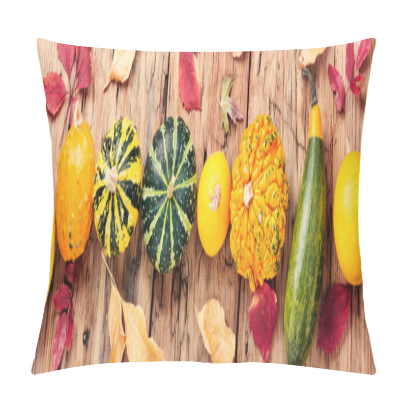 Personality  Beautiful Autumn Seasonal Background With Pumpkins .Autumn Nature Concept Pillow Covers