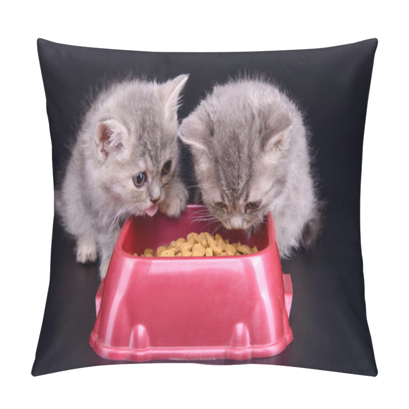 Personality  Kittens Eat Diet Food Pillow Covers