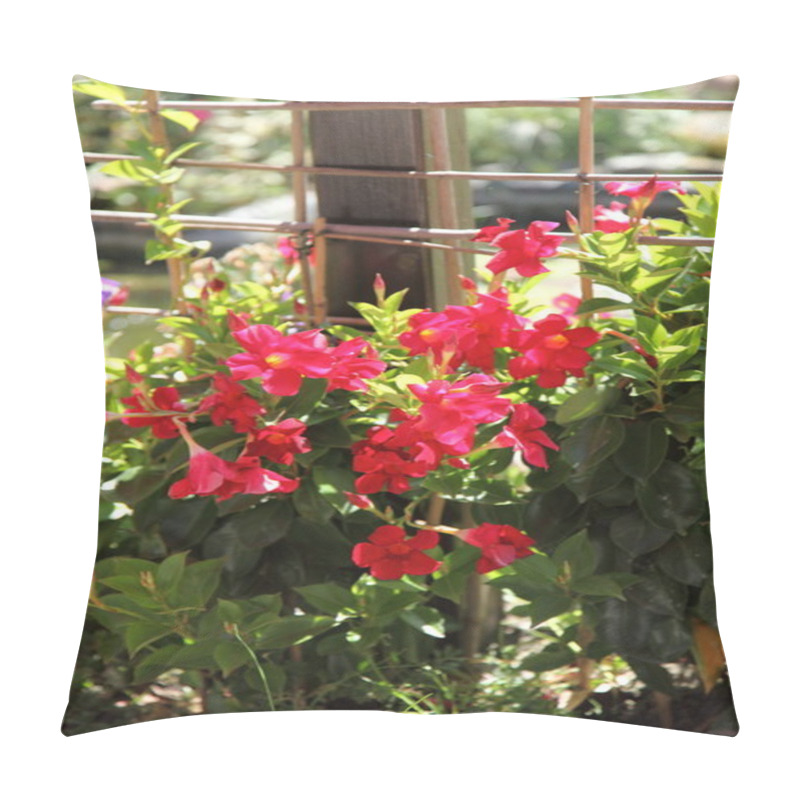 Personality  Beautiful Red Summer Flowers Pillow Covers