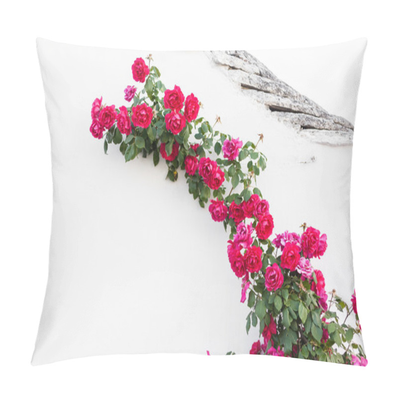 Personality  Crawling Roses Pillow Covers