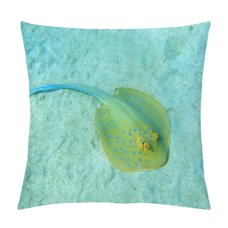 Personality  Blue-spotted Stingray Pillow Covers