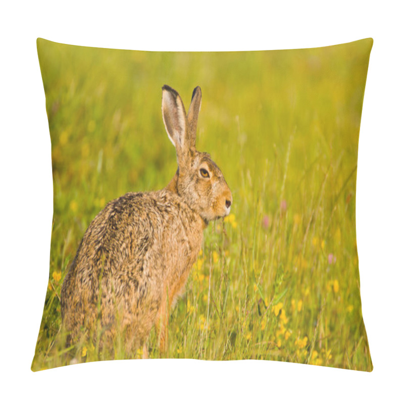 Personality  Rabbit/Hare/bunny In Spring Wild Nature, Close Up View, In Green Grass Background, Useful For Hunting Magazines Or Articles Pillow Covers