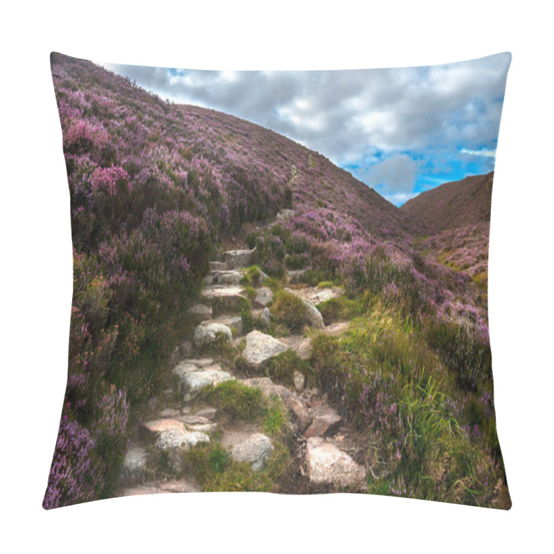 Personality  Hiking Trail In Cairngorms National Park. Glen Dye, Aberdeenshire, Scotland, UK.  Pillow Covers