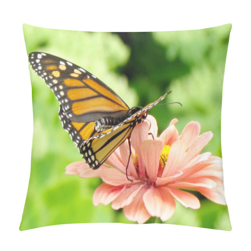 Personality   Toronto High Park Monarch On Pink Flower 2015 Pillow Covers