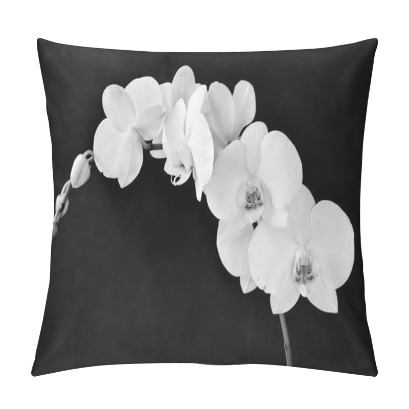 Personality  Phalaenopsis Aphrodite Orchid Pillow Covers