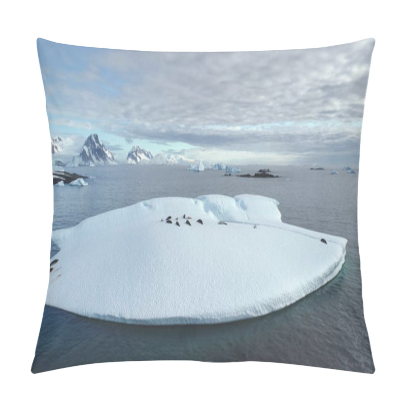 Personality  Antarctica Wildlife Exploration Landscape. Aerial View Of Leopard Seals Resting On Ice Floe Drift Polar Ocean, Mountains In Background. Travel To South Pole. Beauty Of Wild Untouched Winter Nature Pillow Covers