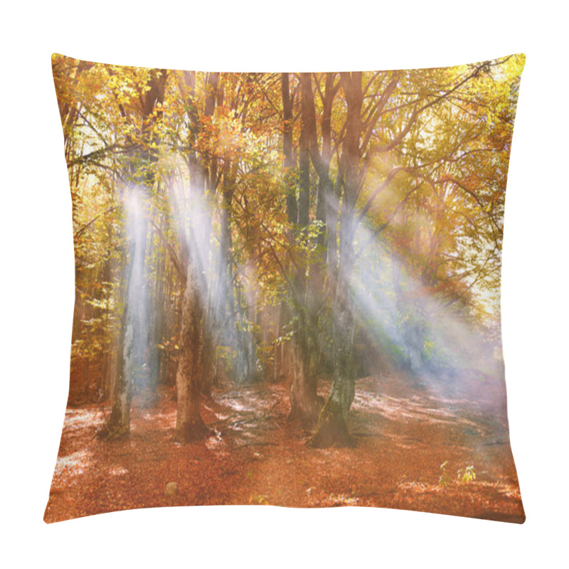 Personality  Fall In Forest And Sunrays Through Fog Pillow Covers